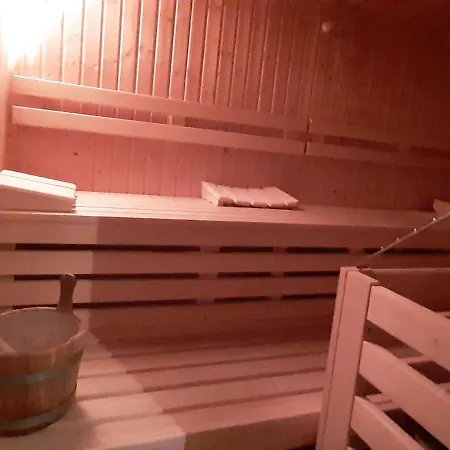 Lejlighed Holiday With Infrared Sauna Bayrischzell